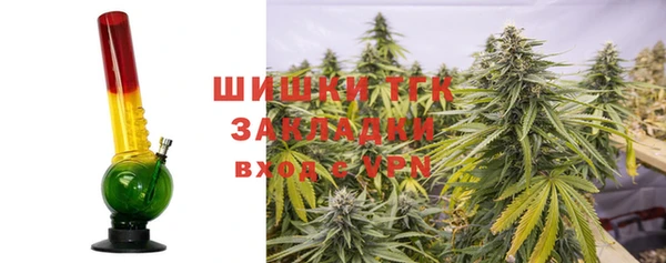 ГАЛЛЮЦИНОГЕННЫЕ ГРИБЫ Алексин