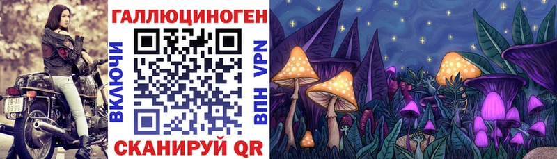 это какой сайт  Закаменск  KRAKEN рабочий сайт  Псилоцибиновые грибы мухоморы  купить наркоту 
